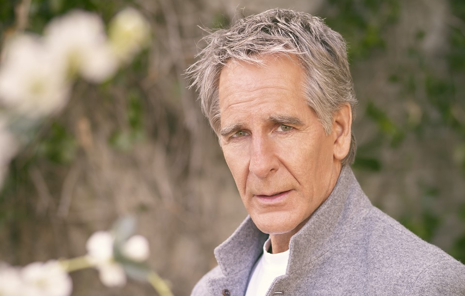 Who Is Wil Bakula? The Untold Story of Scott Bakula’s Son 3 wil bakula